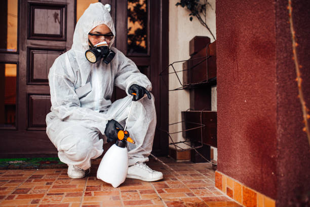 Reliable Cockroach Control contractor in Gaithersburg, MD by Nex Pest Control